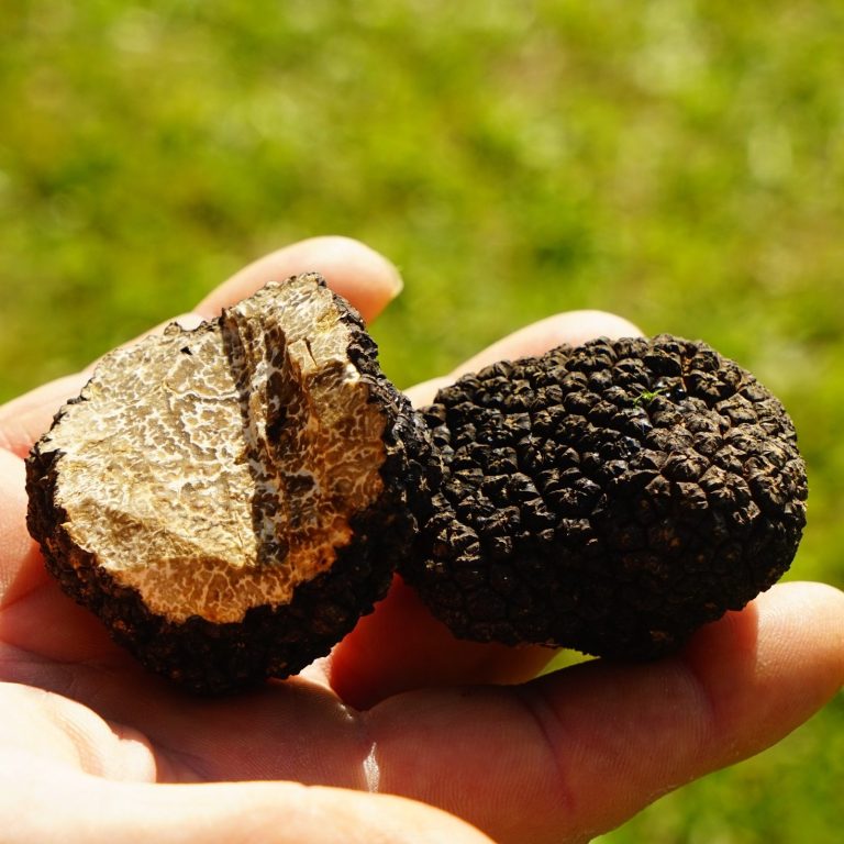 Drei Köche lächeln für ein Foto in die Kamera Drei Köche lächeln für ein Foto in die Kamera